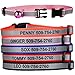GoTags Personalized Reflective Cat Collars, Engraved Custom Cat Collar with Name and Phone Identification, Breakaway Collar with Safety Release Buckle and Bell, Adjustable for Cats and Kitten, (Blue)
