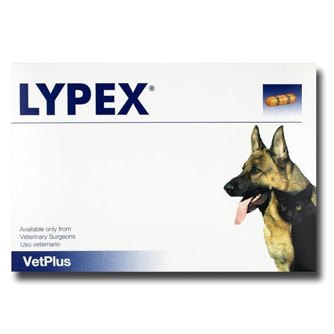 Lypex Pancreatic Enzyme Capsules for Dogs (Pack of 60) Amazon.co.uk