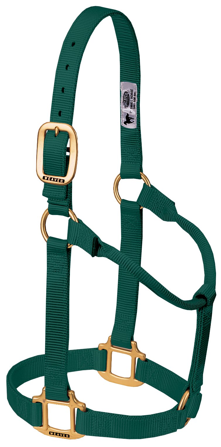 Weaver Leather Original Non-Adjustable Nylon Horse Halter, Small, Hunter Green — image 1