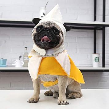 pug dog dress online