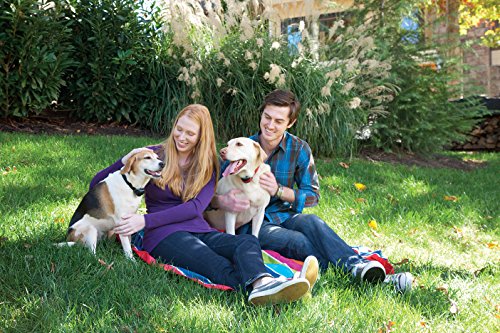 PetSafe Stubborn Dog Stay and Play Wireless Fence Receiver Collar, Waterproof and Rechargeable, Tone and Static Correction
