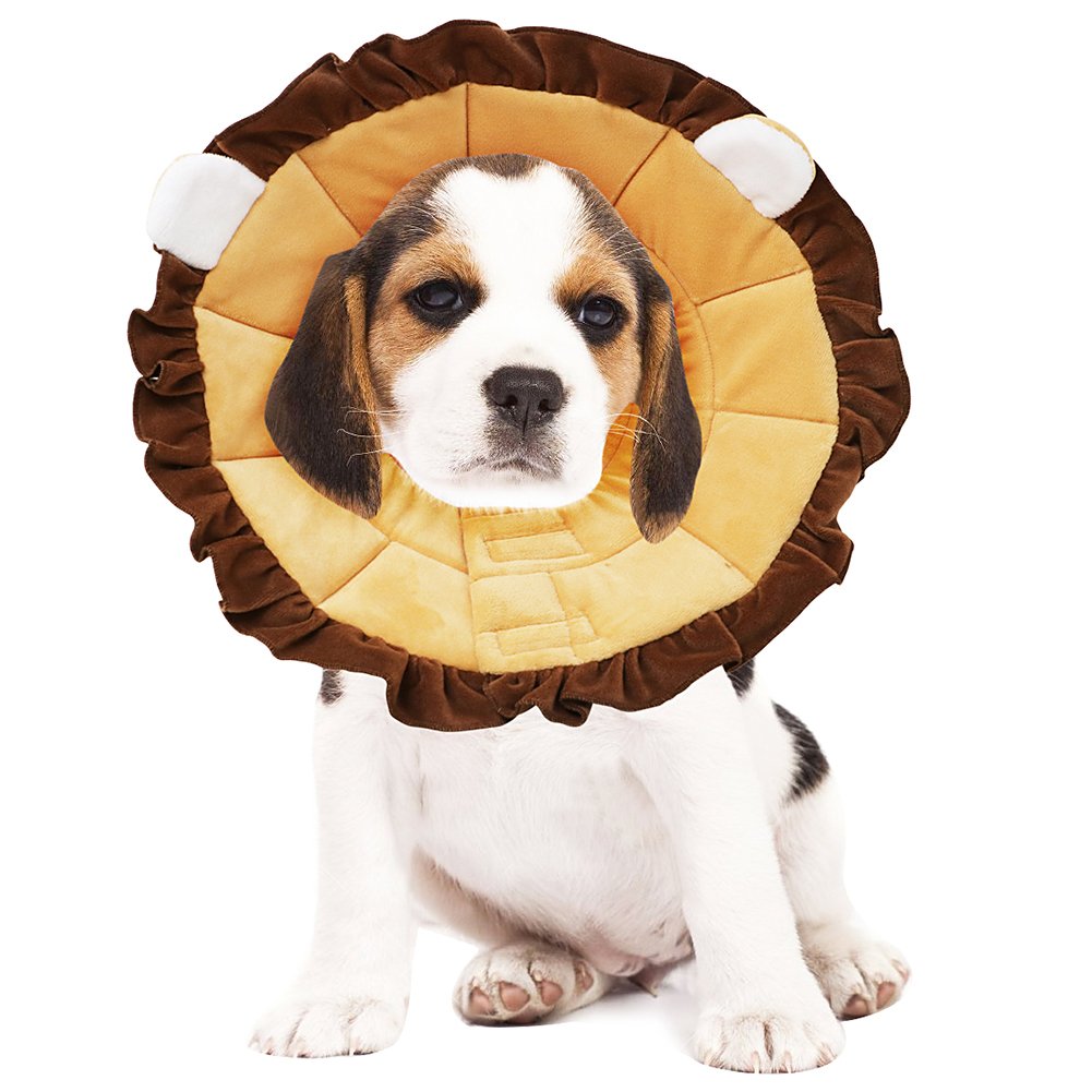 lion cone for dogs