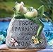 Collections Etc Frog Parking Only Hand-Painted Decorative Garden Stone with Pun - Outside Yard Décor, Grey