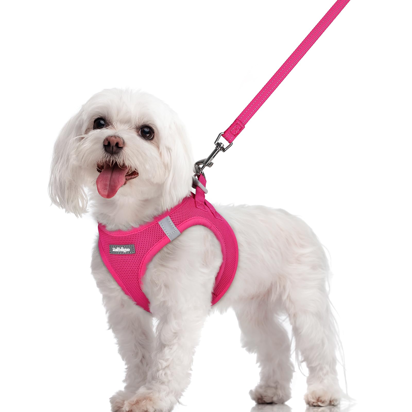 Photo 1 of ***HARNESS NOT INCLUDED LEASH ONLY**** rabbitgoo Dog Harness Small Sized and Leash Set, Step in Soft Light Puppy Vest, Breathable Mesh Pet Harness, Reflective for Safe Easy Walking, Rose Red M