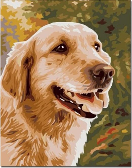 Diy Oil Paint By Numbers Kits Golden Retriever Dog For Adults Child