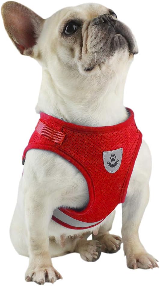 dog restraint jacket