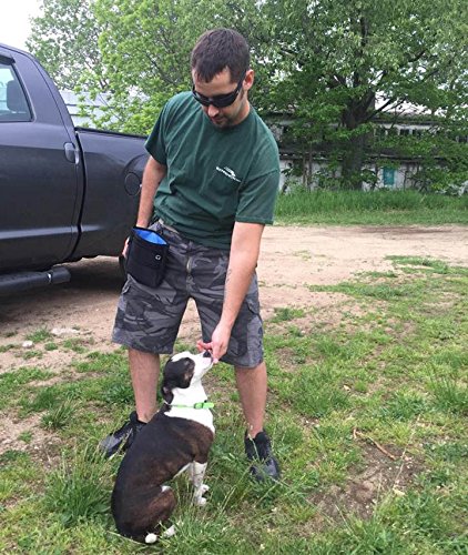 image for DELOMO Dog Treat Pouch for Training - Easily Stores Pet Toys, Kibble, 