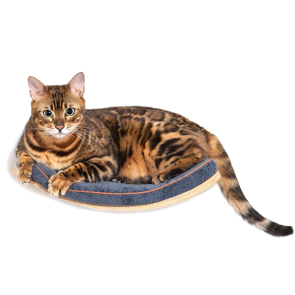 Photo 1 of Cat Wall Shelves,Cat Wall Steps and Perch,Stairs,Ladders,Nest,Bed,Modern Wooden Floating Climbing Furniture for Hopping and Sleeping,with Scratching Cushion (Perch)