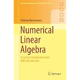 Numerical Linear Algebra: A Concise Introduction with MATLAB and Julia (Springer Undergraduate Mathematics Series)