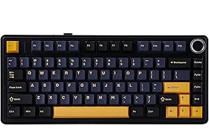 EPOMAKER x Aula F75 Gasket Mechanical Keyboard, 75% Wireless Hot Swappable Gaming Keyboard with Five-Layer Padding&Knob, Bluetooth/2.4GHz/USB-C, RGB (Black, Ice Vein Switch)