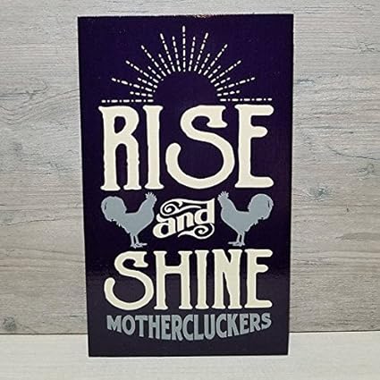Amazoncom Chicken Coop Signs Rise And Shine Mother Cluckers