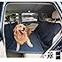 Amazon Com Bushwhacker 174 Paws N Claws Backseat Pet
