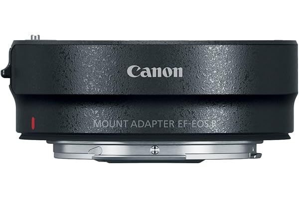 Canon Mount Adapter EF-EOS R, Black