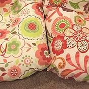 Amazon.com: SINGER | Superb EM200 Embroidery Sewing