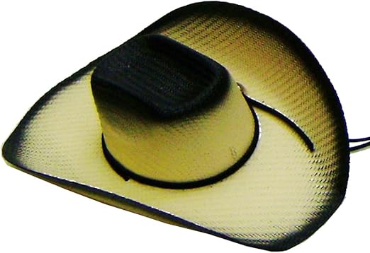 cowboy hat with string
