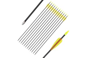 Archery Recurve Bow Arrows Fiberglass Arrow 24/26/28 Inch Hunting Shooting Practice Target for Beginners Kids Youth Sport Out