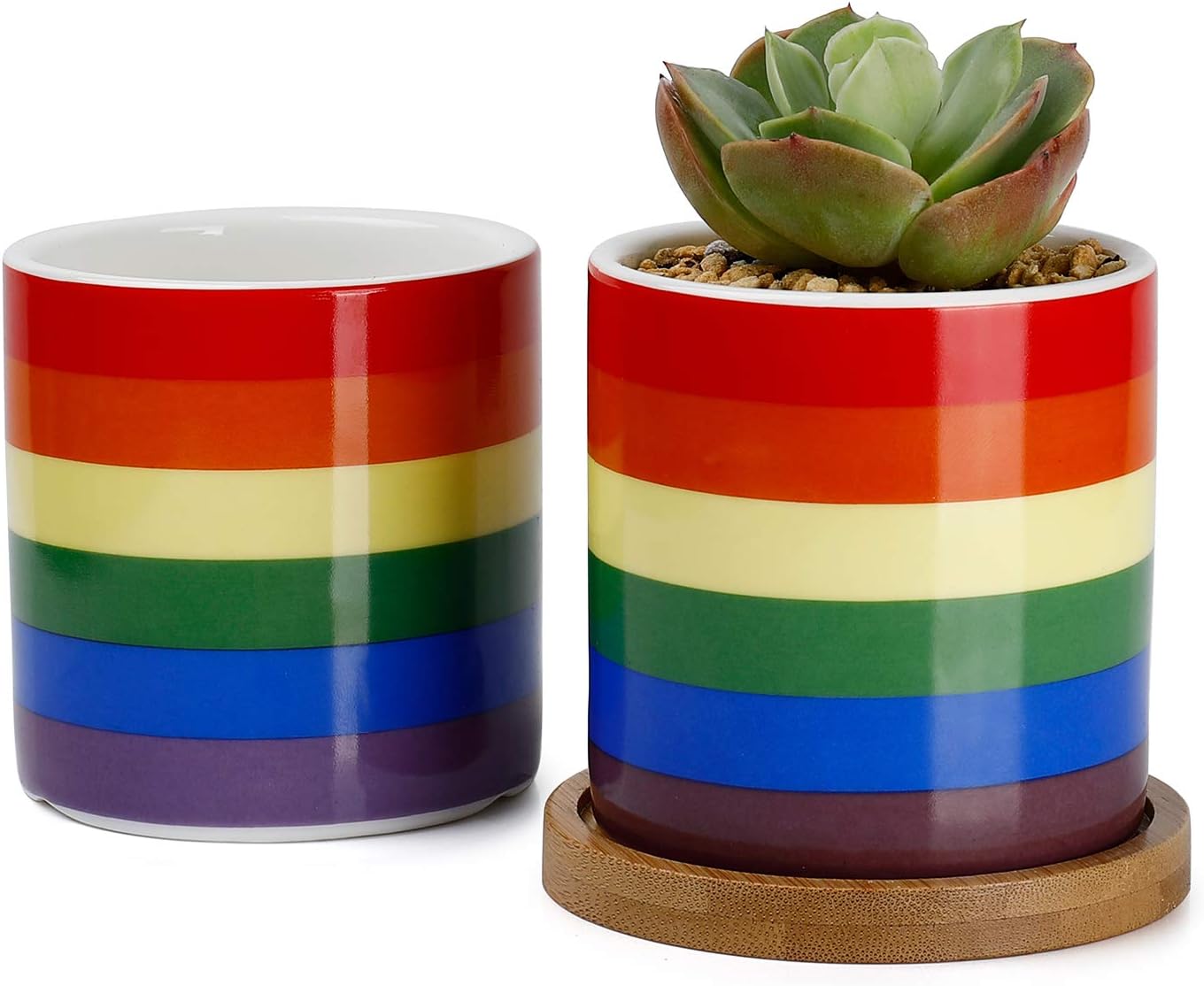Greenaholics Succulent Pots - 3 Inch Cylinder Rainbow Sytle Ceramic Planter for Cactus, Succulent Planting, with Bamboo Trays, Set of 2