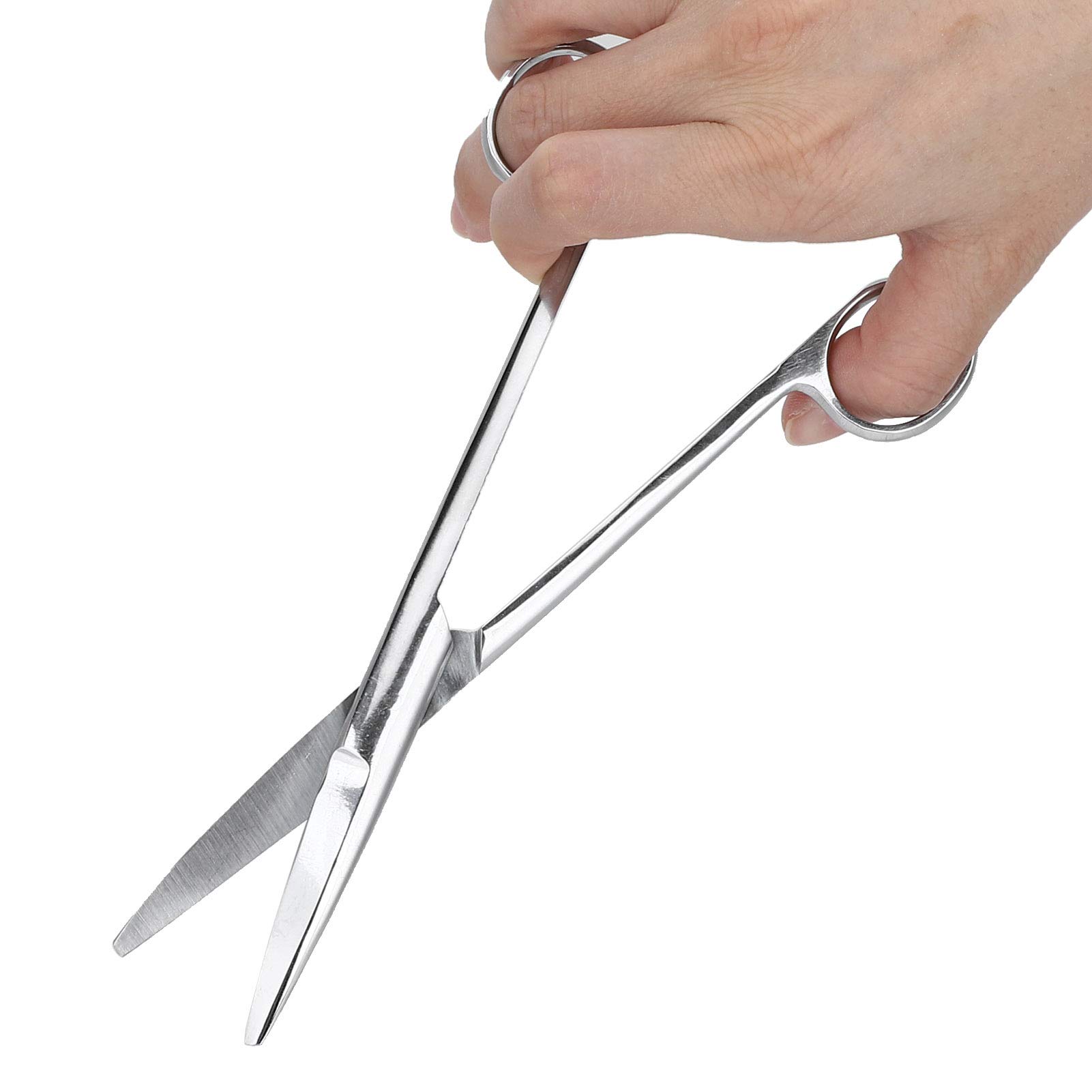 Stainless Steel Scissor Curved Round Scissors Veterinary Scissors for Cutting Sutures Tissues Surgery