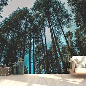 Wall Mural Forest Removable Wallpaper Wall Sticker for Bedroom Living Room - 66x96 inches