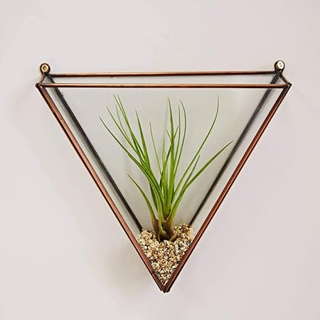 Ruhi Collections LamJum Metal and Glass Triangle Terrarium Hanging Planter with Antique Copper Colour Container Display Box Centre Piece Gift for Succulent Air Plant [Size - 6.50x6.50x3 inches]