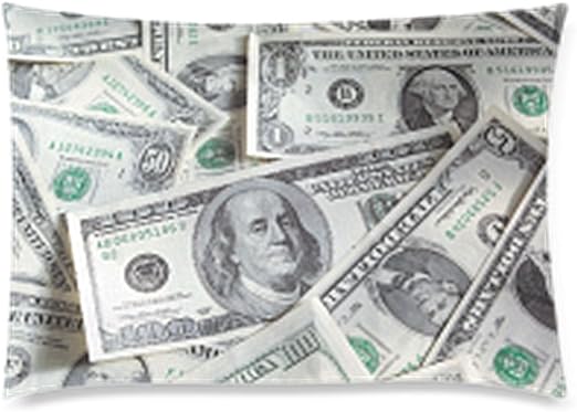 Amazon Com Funny Us Dollar Currency Money Pillowcase Hundreds Of