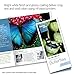 HP Tri-Fold Brochure Paper (100 Sheets)