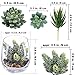 Supla 4 Set Artificial Fake Succulent Plants Echeveria Terrarium Glass Containers Decorations Clear (4 Artificial Succulents+1.1 Lb White Sand+1.32 Lb Stone + 4 Glass Containers +1 Floral Wire Cutter)