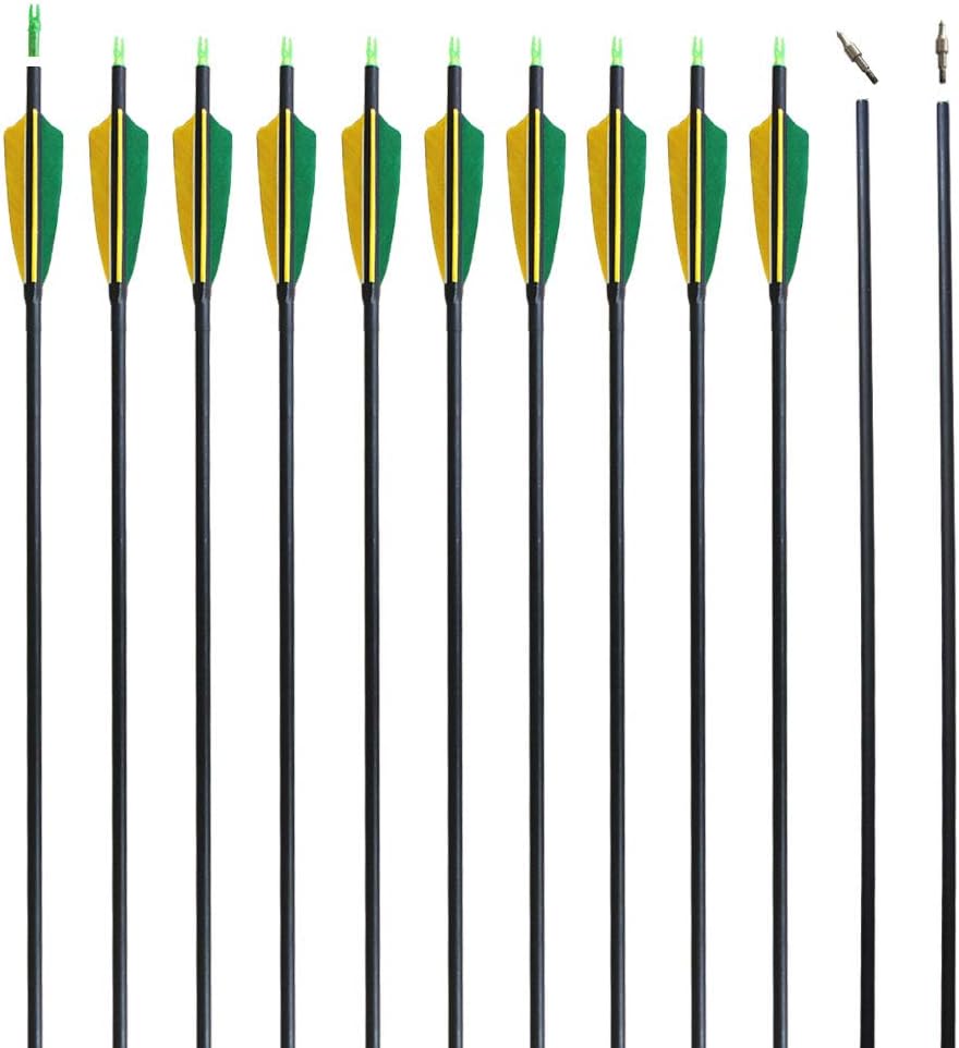 REEGOX Archery Arrows 30 inch Carbon Practice Hunting and Target Arrows for Compound Recurve or Traditional Bow with Removable Tips(Pack of 6/12)