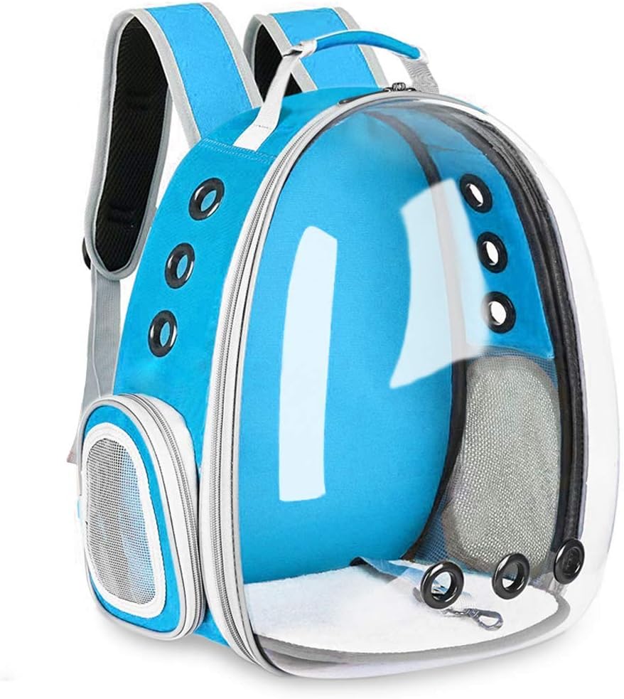 clear dog backpack