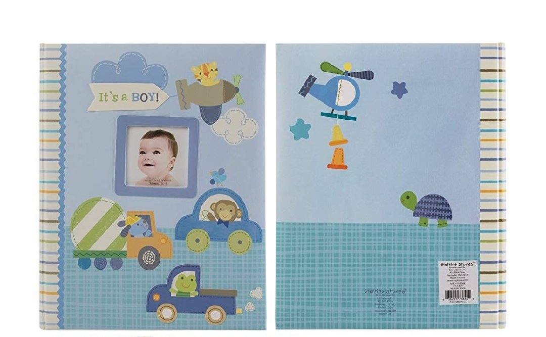 stepping stones baby book