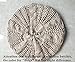 Senchanting New Winter Fashion Women Beret Braided Baggy Beanie Crochet Knitted Hat Cap (Beige)