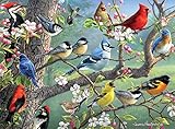 Buffalo Games - Hautman Brothers - Birds in an