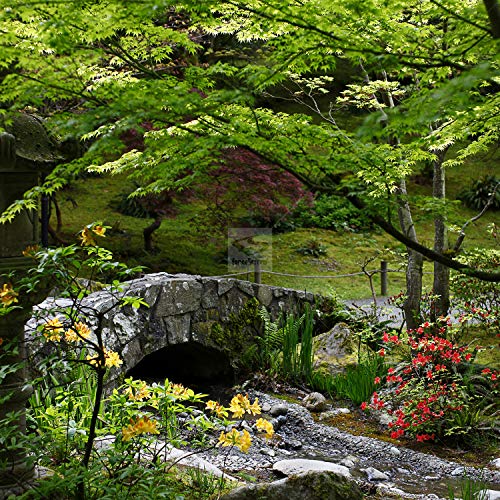 Garden Stone Bridge Patio & Gazebo Backdrop Screen (9ft. X 7ft.) on Galleon Philippines