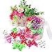 Beirui 20pcs Cute Dog Hair Bows with Rubber Bands - Adorable Crystal Rhinestone Studded - Sparkly Nylon Pet Grooming Accessoriess for Long Hair Dog & Kitten