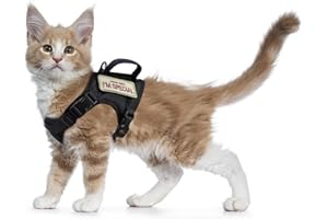 AUGOPAPA Tactical Cat Harness for Walking Escape Proof, Soft Mesh Adjustable Pet Vest Harness for Large Cat,Small Dog (Medium, Black)