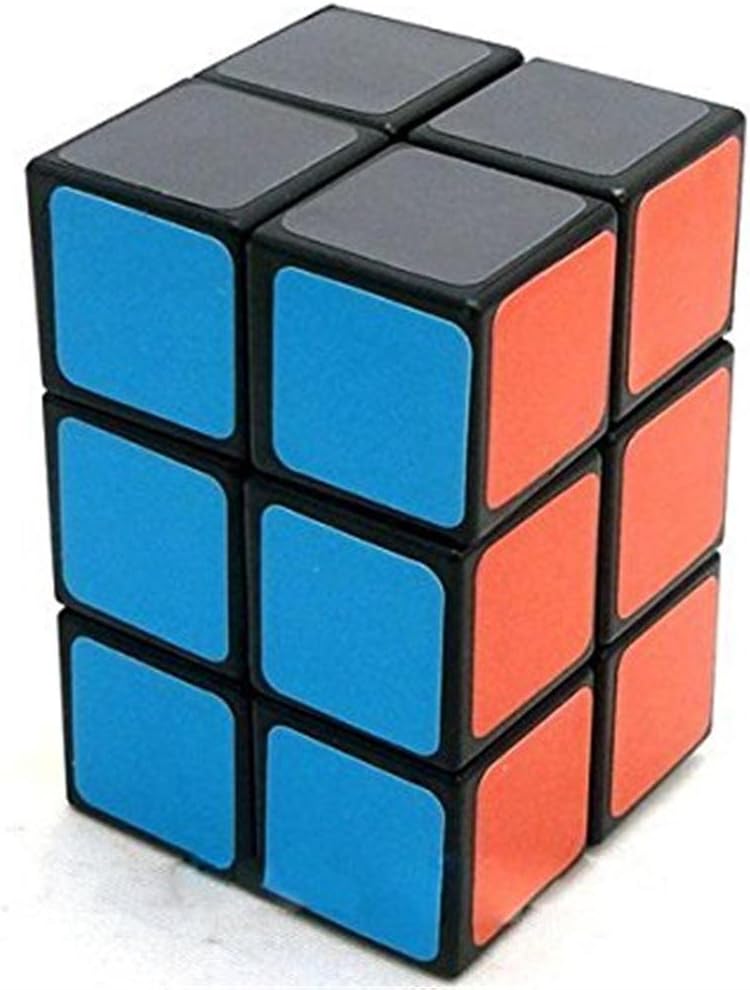 2x2x3 Black Cuboid Cube Twisty Puzzle Smooth (223, Black)