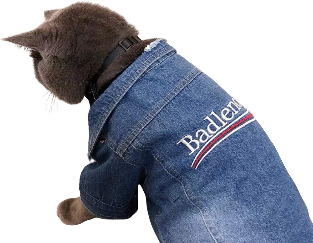 denim jacket streetwear outfit