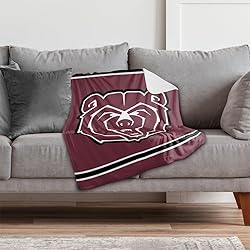 Missouri State University Primary Logo Stripes