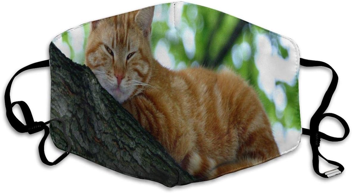 Cat in The Tree Face Mask - Comfortable, Re-Usable Anti Dust Mask - Filters Dust, Pollen, Allergens, Flu Germs - Allergy Mask - Ideal for Dog Grooming, Gardening, Sanding