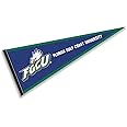Florida Gulf Coast Eagles Pennant