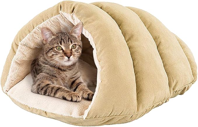 human sized cat cave