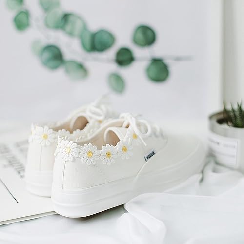 Amazon 春 夏スニーカー キャンバス レース スニーカー レディース カラー無地 カジュアル派さんのコーディネートに キャンバスシューズ ローカット スニーカー キャンバススニーカー 白い靴 可愛い 学生 デージーキャンバススニーカー 22 5 ホワイト スニーカー
