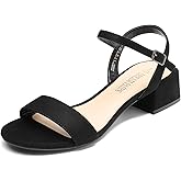 DREAM PAIRS Women's Low Heels for Women Classic Open Toe Ankle Strap Block Chunky Heel Sandals Holiday Party Wedding Dress Pumps Shoes