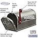 Salsbury Industries 4850D-PEW Deluxe Rural Mailbox, Pewter