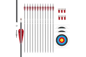 e5e10 31inch Carbon Arrow Archery Targeting Practice Hunting Arrows for Compound & Recurve Bow with Removable Tips(Pack of 12)