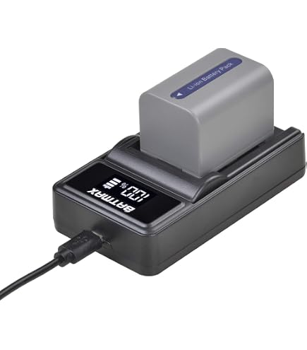 vhbw 2x batteria sostituisce Sony NP-FP71, NP-FP70, NP-FP60, NP-FP51, NP- FP50, NP-FP30 per videocamera camcorder (500mAh, 7,2V, Li-Ion