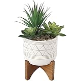 Flora BundaArtificial Succulents in 5 Inch White Gold Line Geometric Ceramic Planter with Wood Stand Mid Century