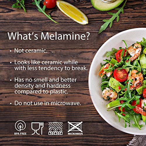 BZYOO BPAFree Dishwasher Safe Plastic Melamine Dinnerware Plate & Bowl