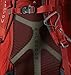 Kestrel 48L Men's Backpacking Backpack