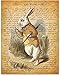 Alice in Wonderland Prints - 11x14 Unframed Wall Art Print Poster - Perfect Alice in Wonderland Gifts and Decorations (Rabbit Hole)